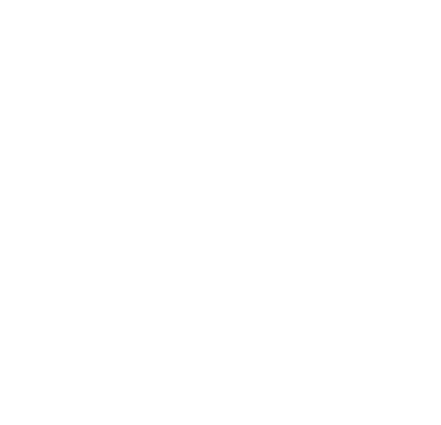 SKY-DRONES