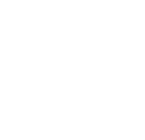 Aerdia LLC Logo